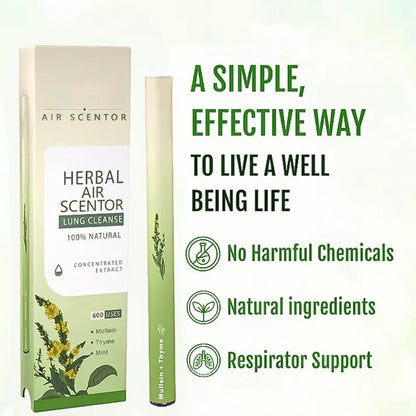 🔥Mullein Aroma Air Scentor – Relief for Cough, Congestion & Breathing Comfort2.0💝