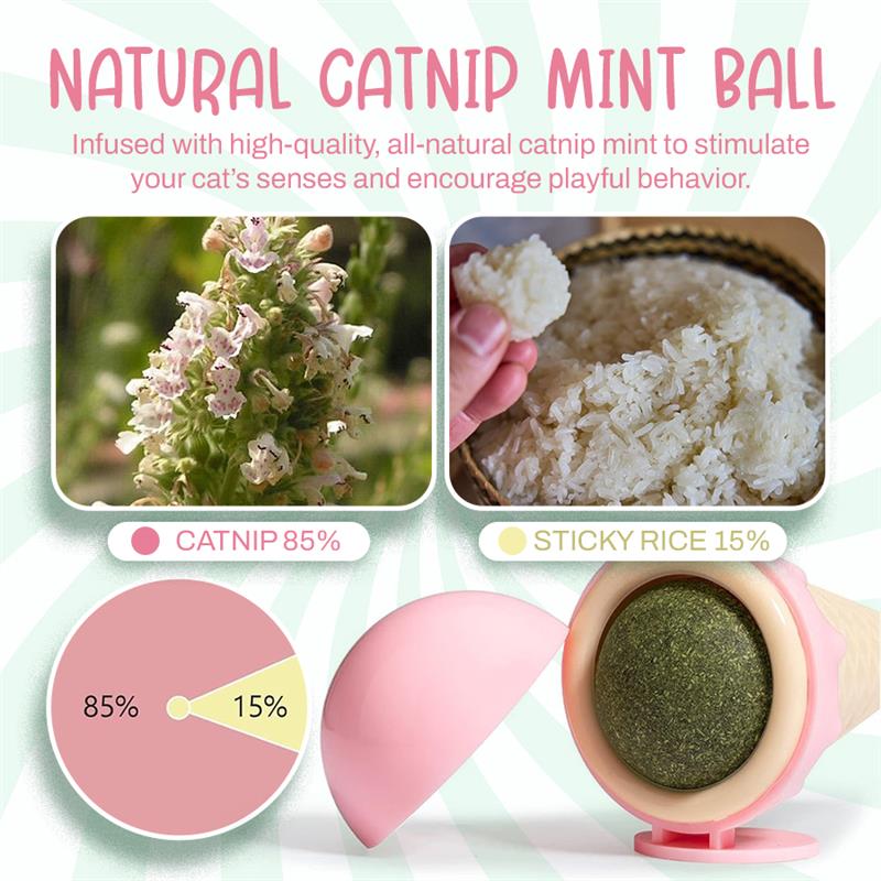 Seurico™ Ice cream spinning mint ball cat toy