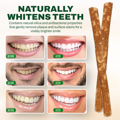 🔥2025 Best-Selling Fresh Whitening Natural Chew Stick🔥