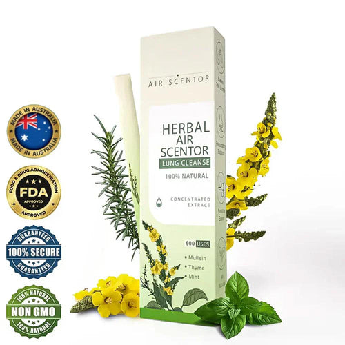 🔥Mullein Aroma Air Scentor – Relief for Cough, Congestion & Breathing Comfort2.0💝