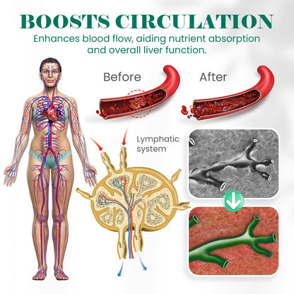 Seurico™ Liver Wellness Pack (Wrap + Castor Oil)