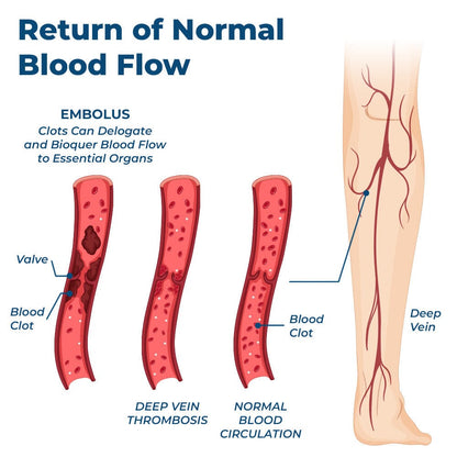 Seurico™ PulseGrid Tourmaline Ionic Socks